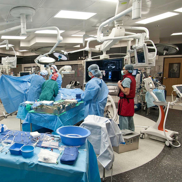 Surgical team getting a surgery room ready for a surgery