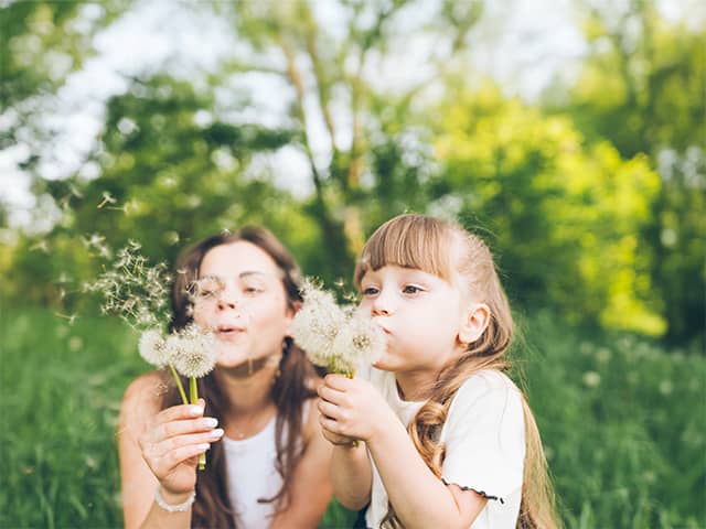Young blonde haired girl and her mom hold dried dandelions up near their faces and blow the seeds off