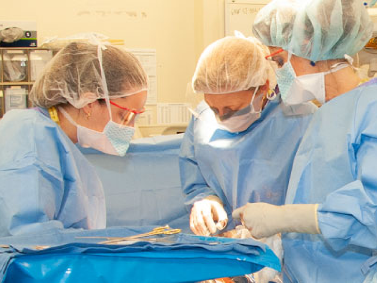 Doctors working on a patient