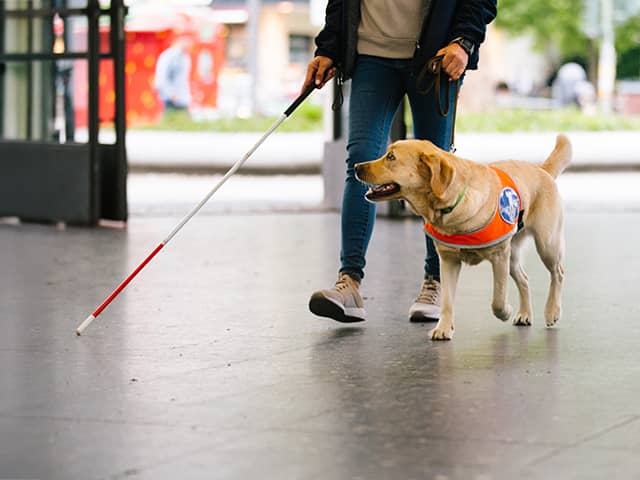A woman with a cane walks her dog, highlighting the bond between them and the importance of accessibility.