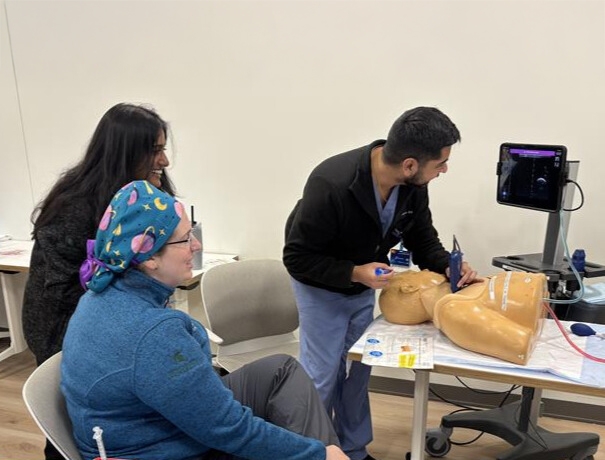 Clinical simulation of a adult critical care case.