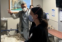 A group of medical residents gathers around a patient in a hospital room, engaged in teaching and learning.