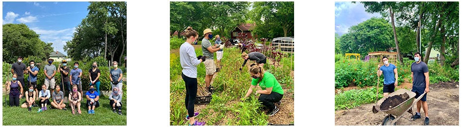 Detroit Abloom transforms blighted land into beautiful and productive landscapes.