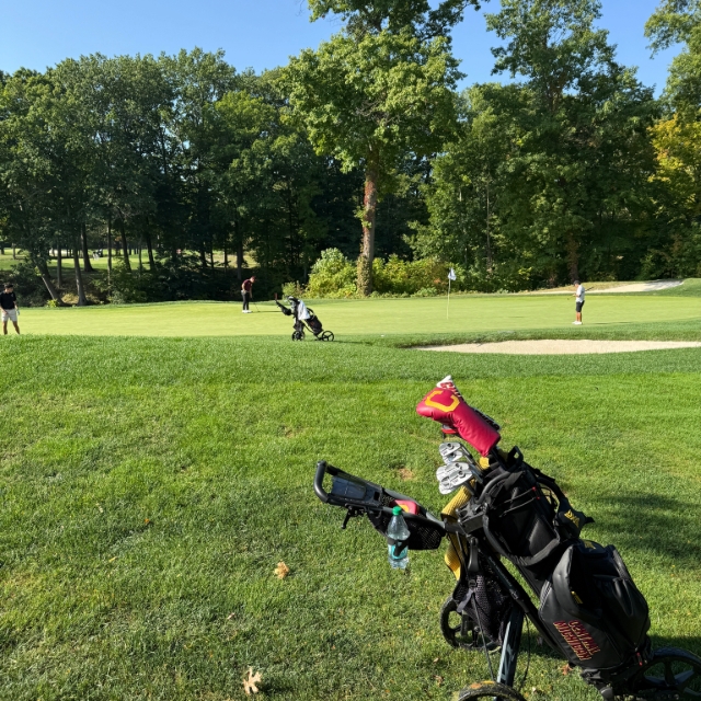Golf bag on the green grass at a golf course
