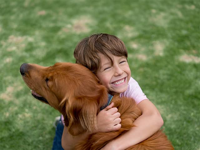 Smiling boy kneels on the grass and hugs a golden retriever