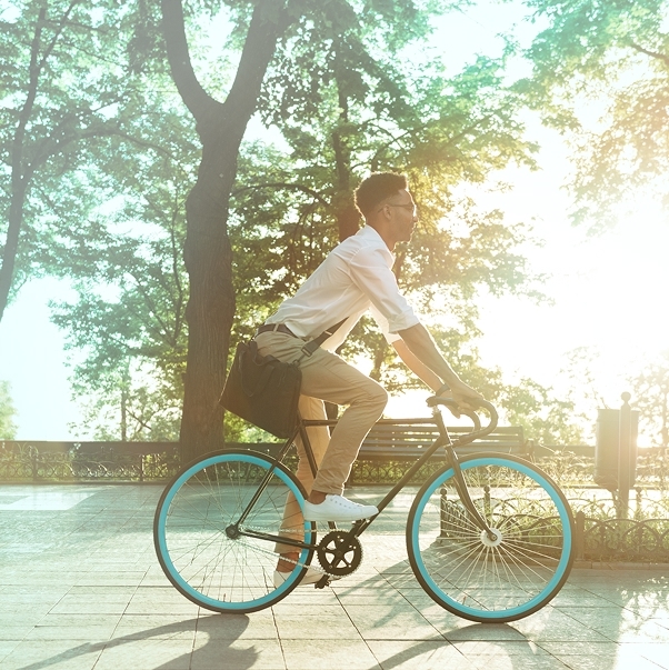 A person riding a bicycle through a lush green park, showcasing an active lifestyle in a serene environment.