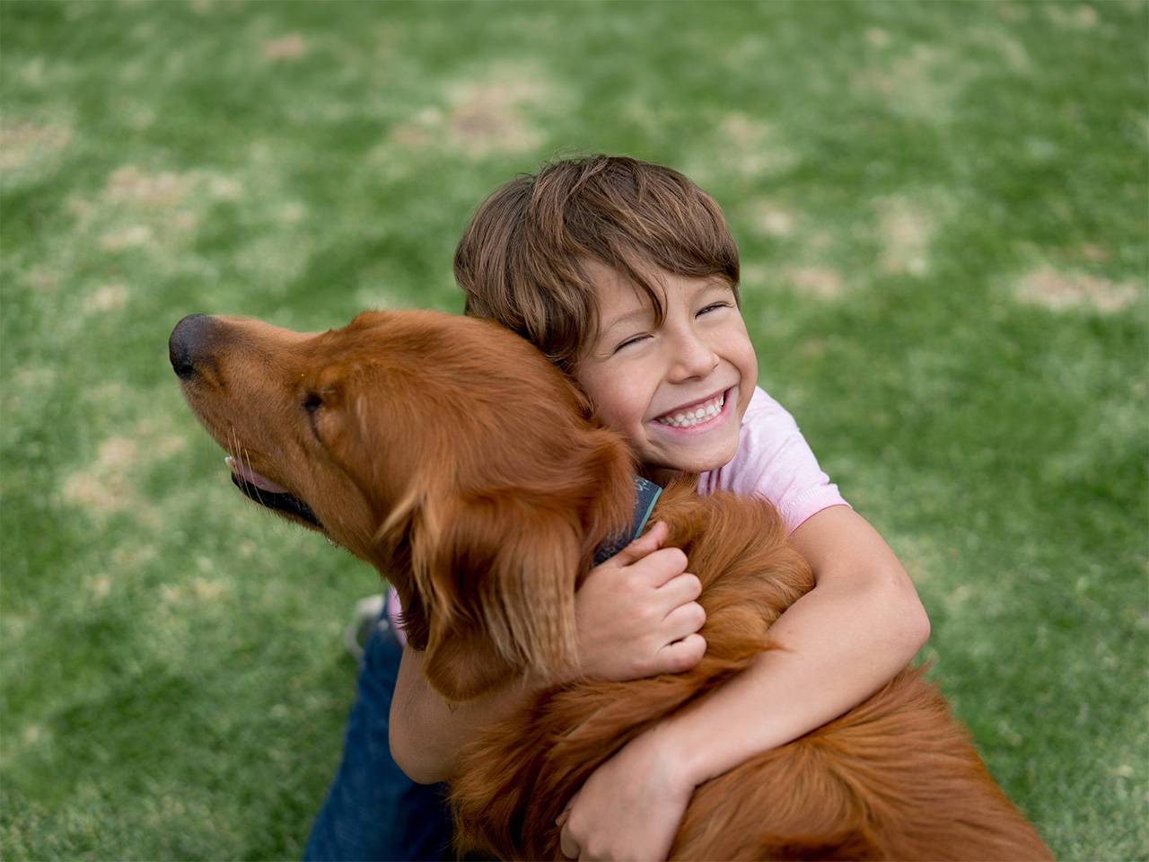 Smiling boy kneels on the grass and hugs a golden retriever