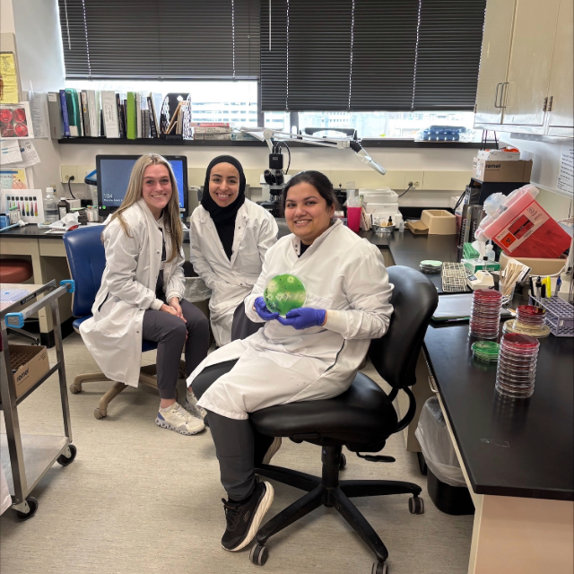 Two scientists in the laboratory handling fluids