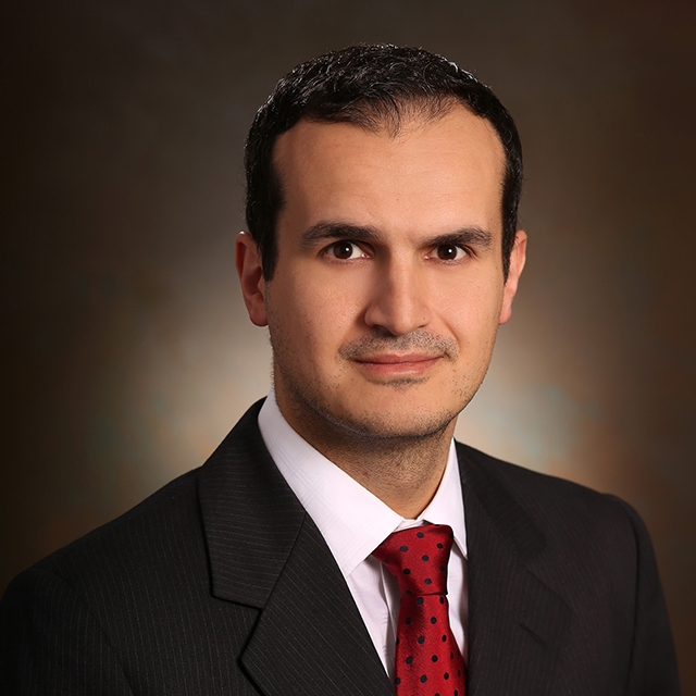 Portrait of Wael Berjaoui, MD