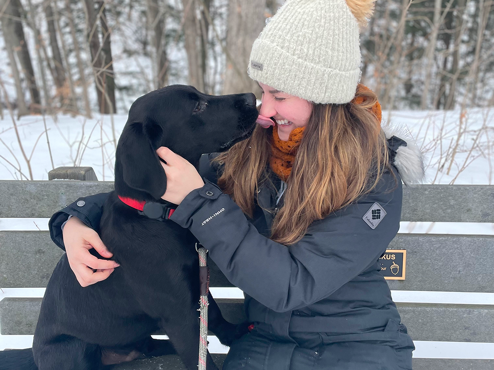 A person sitting on a bench in a snowy wooded area, gently holding and leaning toward a black dog wearing a red collar.