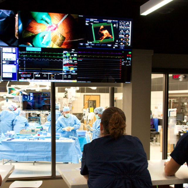 Resident in a viewing room watching a surgery take place on the other side of glass