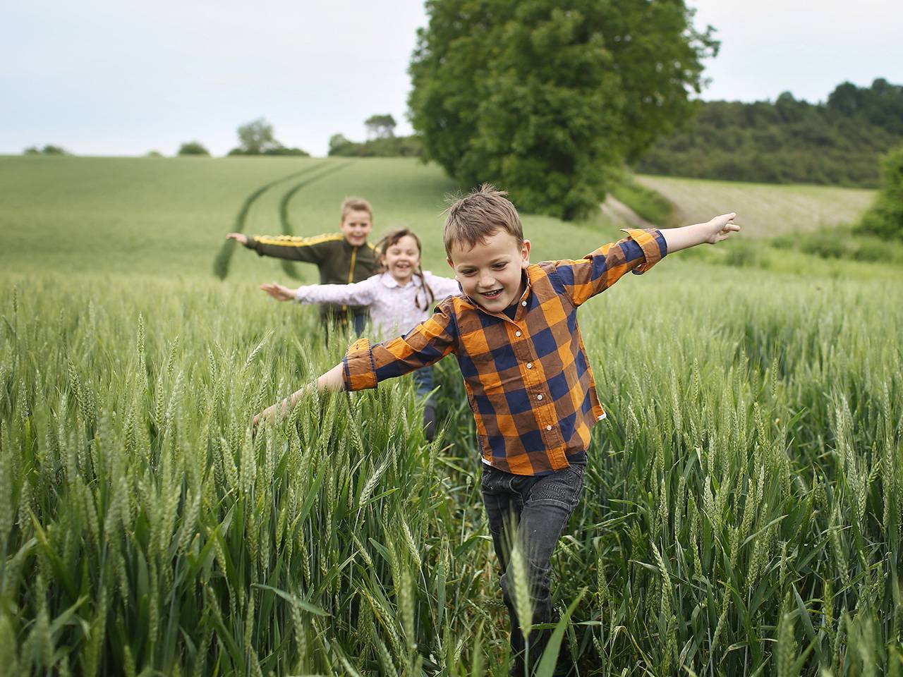 Two young boys and a young girl spread their arms out to their sides and run through waist-high wild grass in a field