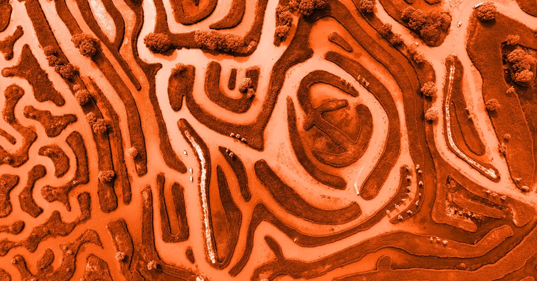 BlogImage_Complexity5_Orange_1200x628.webp