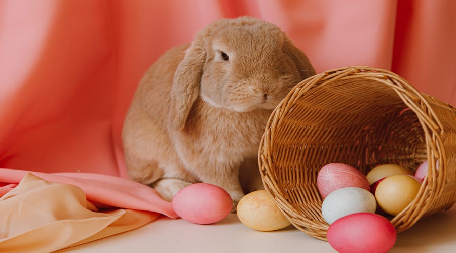 Coelho e ovos de chocolate são símbolos da Páscoa.