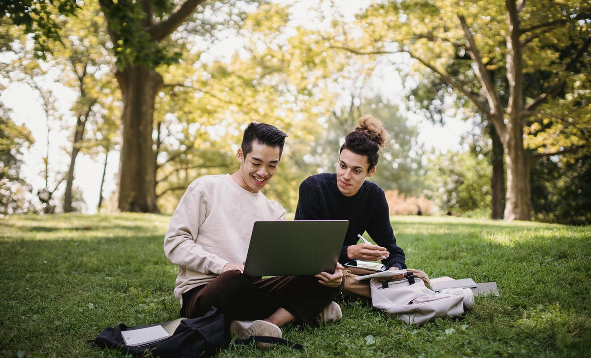 Dupla de amigos estudando no parque com um computador para a prova de idiomas.
