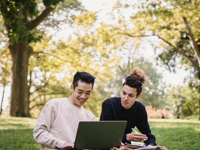 Dupla de amigos estudando no parque com um computador para a prova de idiomas.