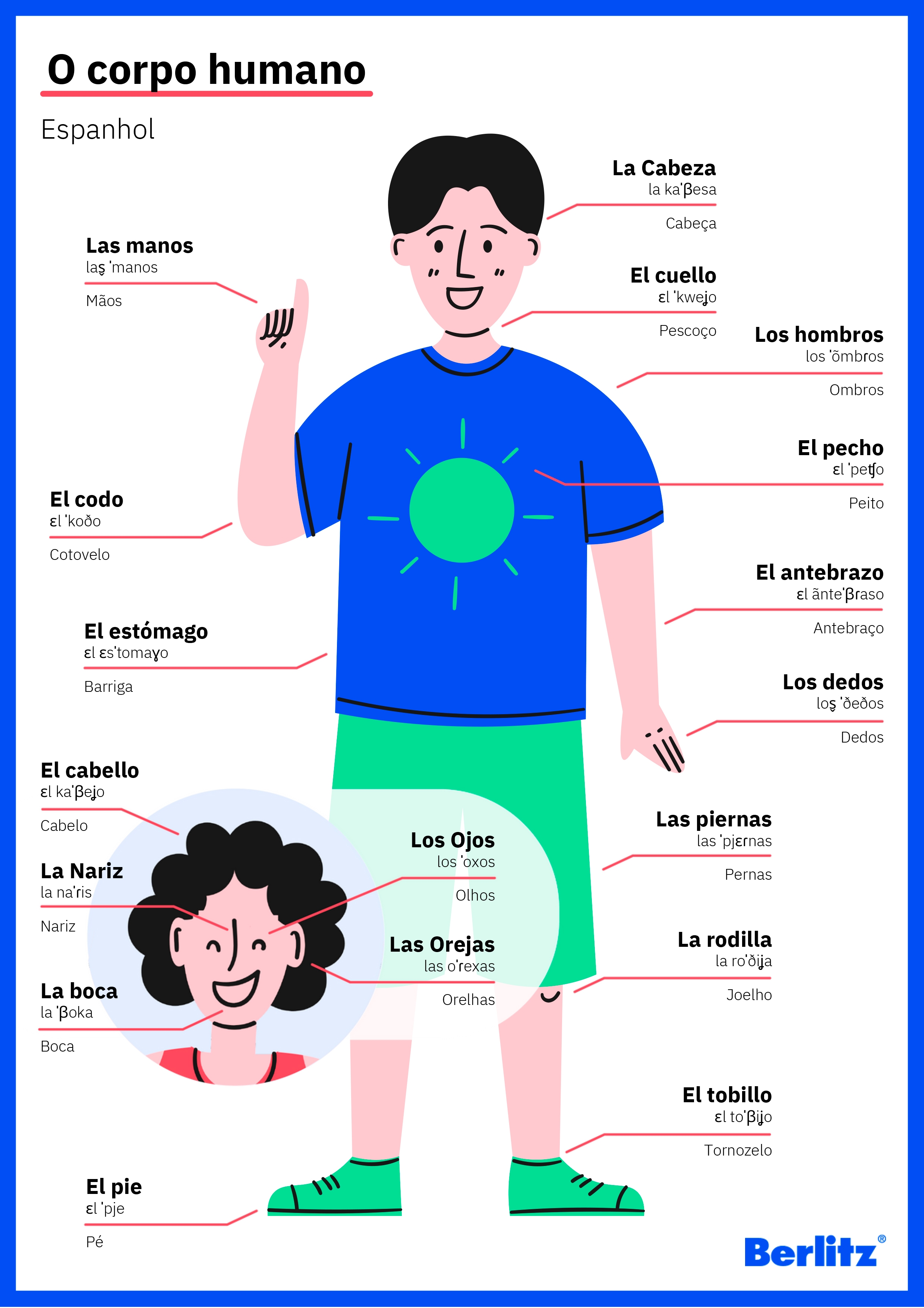 Partes Do Corpo Humano Espanhol