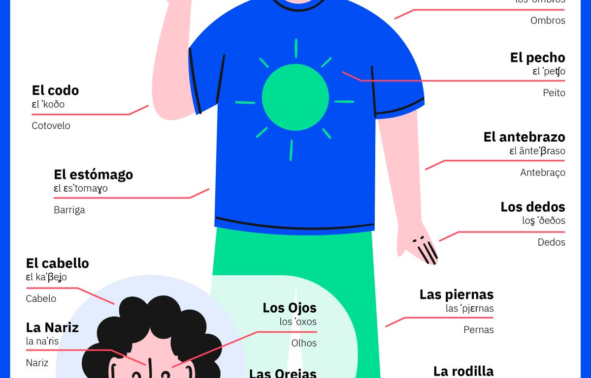 Partes do corpo em espanhol