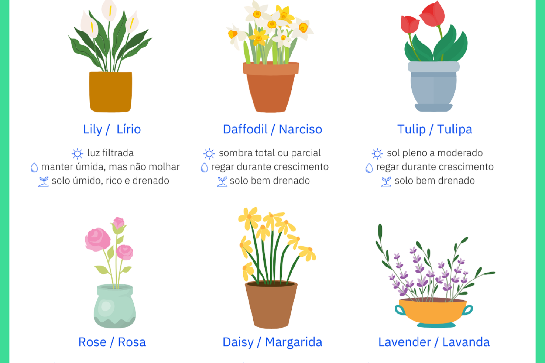 Nomes de flores em inglês para baixar Berlitz