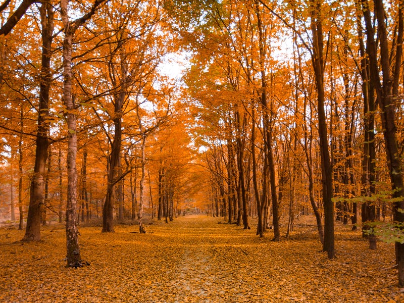 Clima e tempo em espanhol