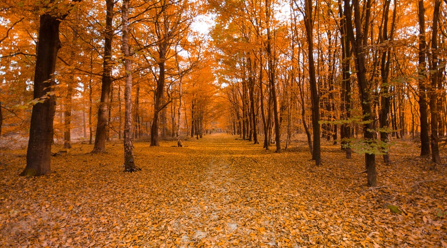 Clima e tempo em espanhol