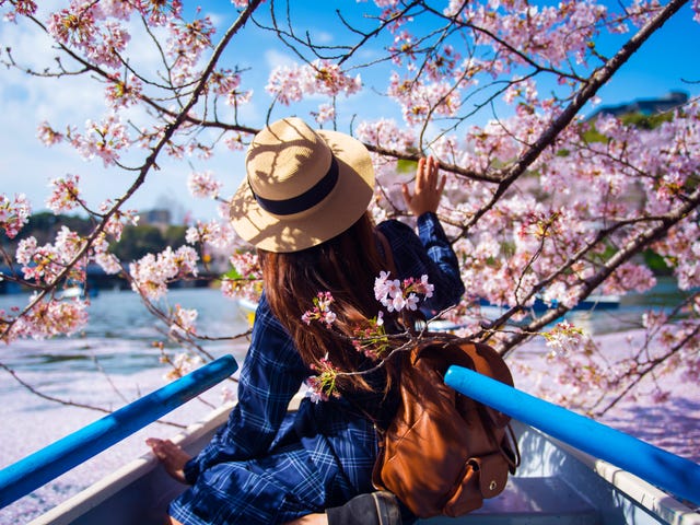 Mulher visita para o Japão após fazer aulas de japonês.