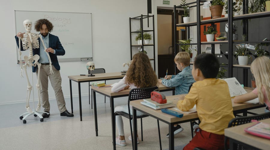 Aula sobre partes do corpo em italiano.