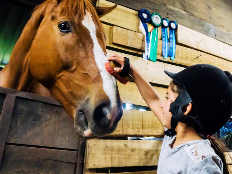 Cavalos e mais sons de animais em inglês