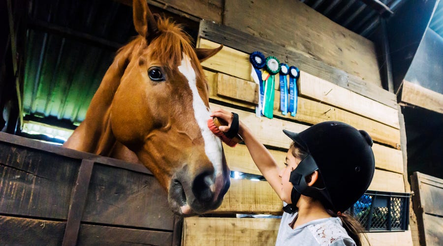 Cavalos e mais sons de animais em inglês