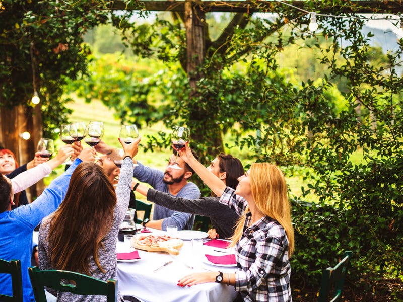 Grupo de amigos brindam com bebidas em italiano