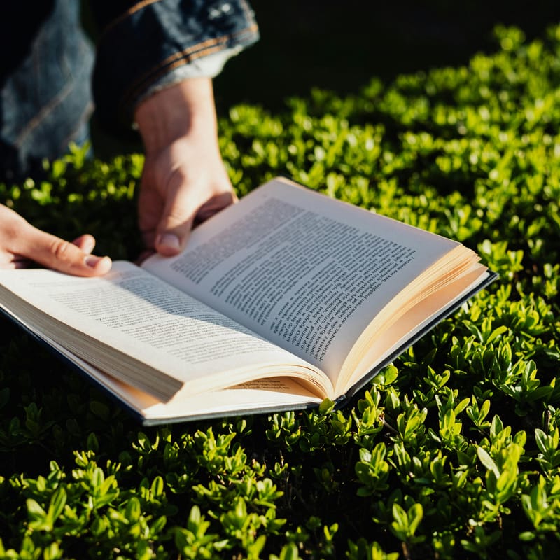Homem segurando livro com frases em inglês para iniciantes.