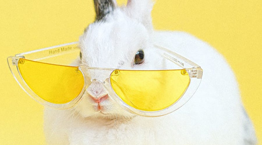 Aprenda coelhos e mais animais em alemão