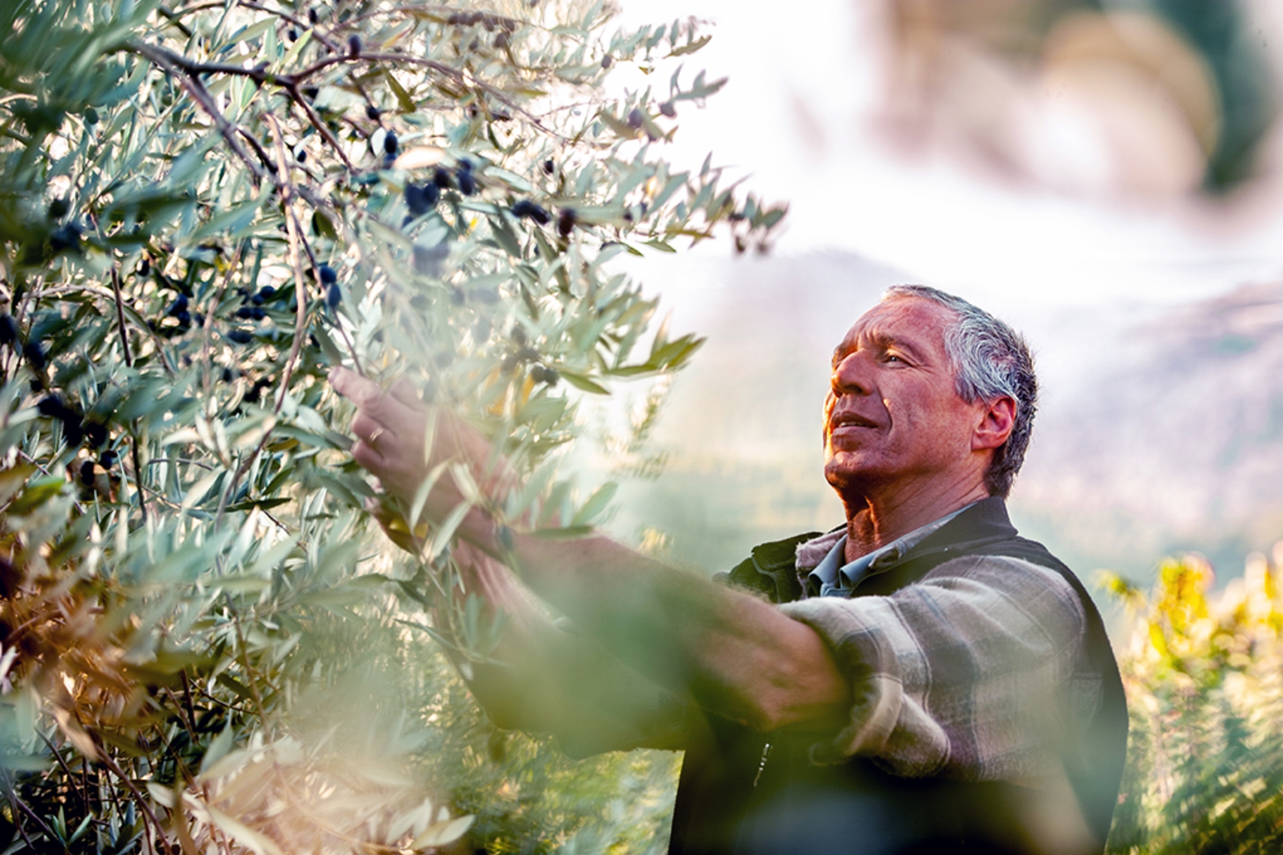 Homem agricultor avaliando sua safra após aprender uma lista de termos técnicos do agronegócio.