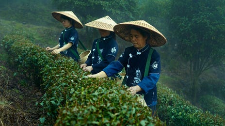 Aprendendo a falar cantonês