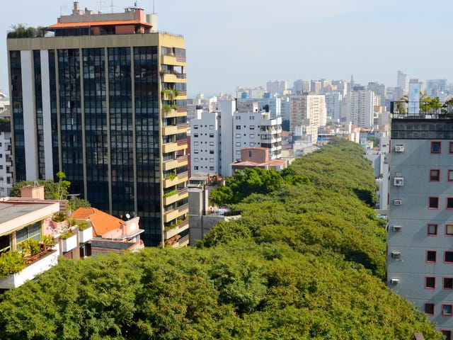 Porto_Alegre_iStock-521386696.jpg