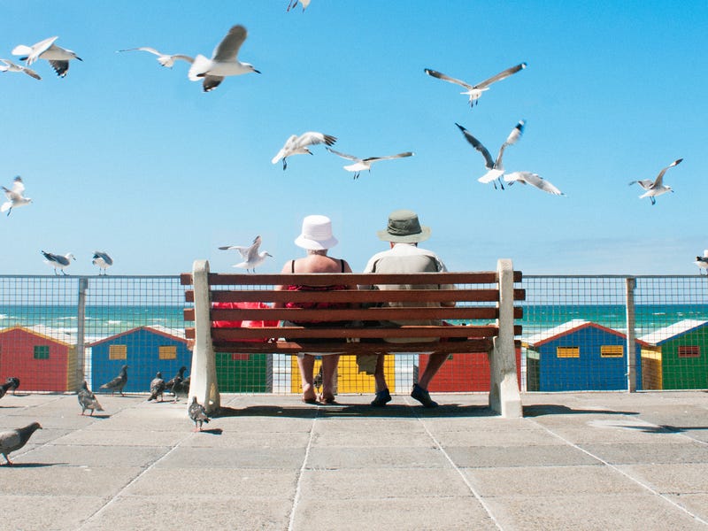 Pássaros em inglês voam na frente de turistas.