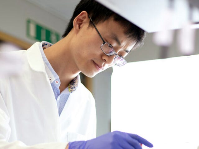 Farmacêuticas capacitam seus profissionais com o idioma inglês