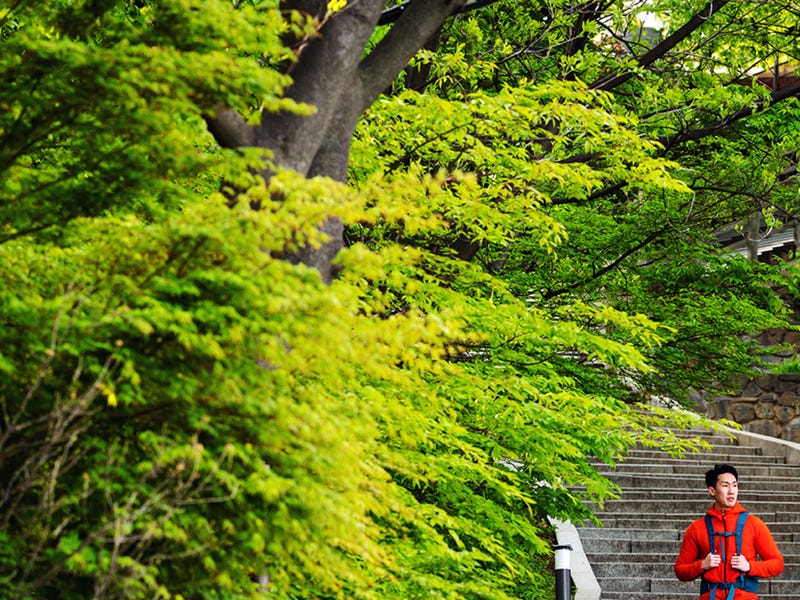 Homem mochileiro descendo escadas de um parque enquanto pensa em lugares em inglês.