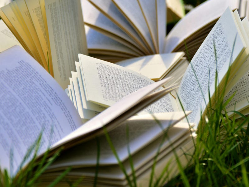 Livros abertos espalhados sobre a grama contando a história da origem da língua portuguesa.