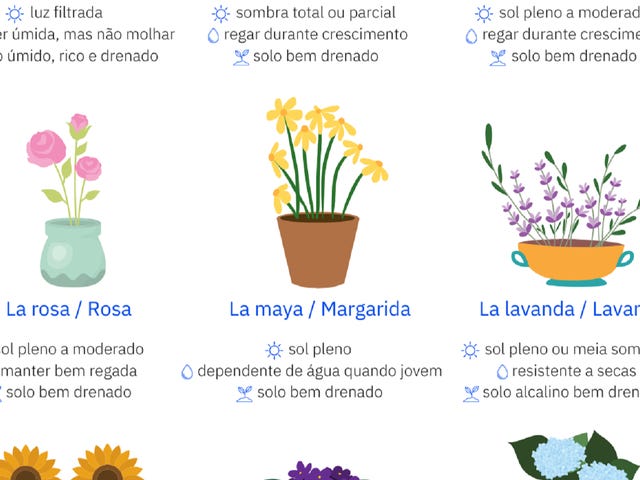 flores-em-espanhol.png