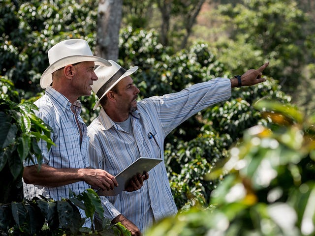 Dois fazendeiros avaliando a plantação e praticando inglês para agronegócio.