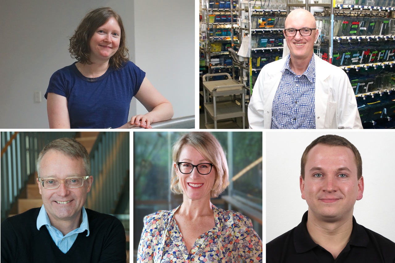 NHMRC funding boost for Garvan researchers