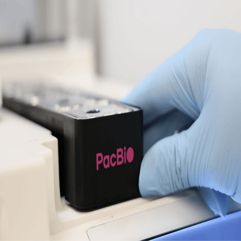 PacBio Revio