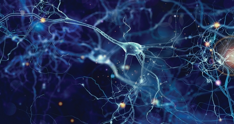 Close up 3D image of neurons