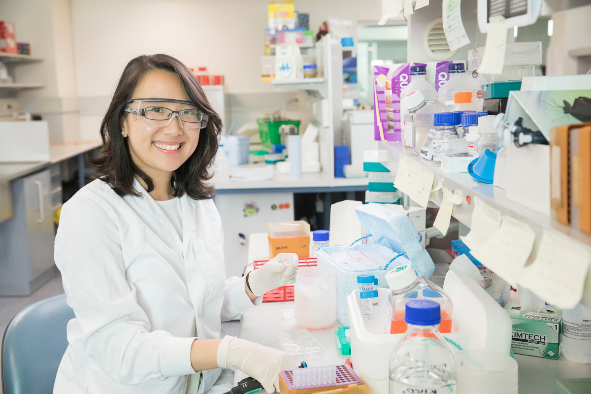 Revealed: how the immune system stays alert to related pathogens