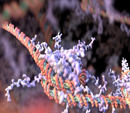 close up of DNA strand