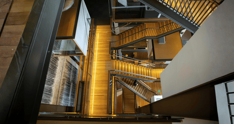 The Garvan Research Foundation Board oversees effective marketing and ...