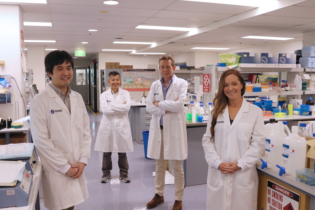 New type of bone cell could reveal targets for osteoporosis treatment