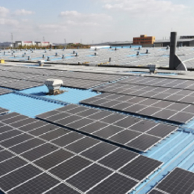 Elevate Outdoor Collective