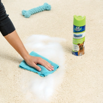 Woolite Heavy Traffic Foam Cleaner cleaning pet stains off carpet.